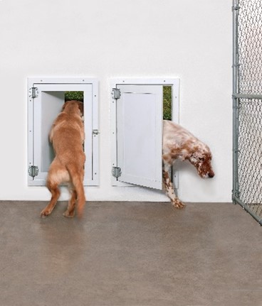 pet door